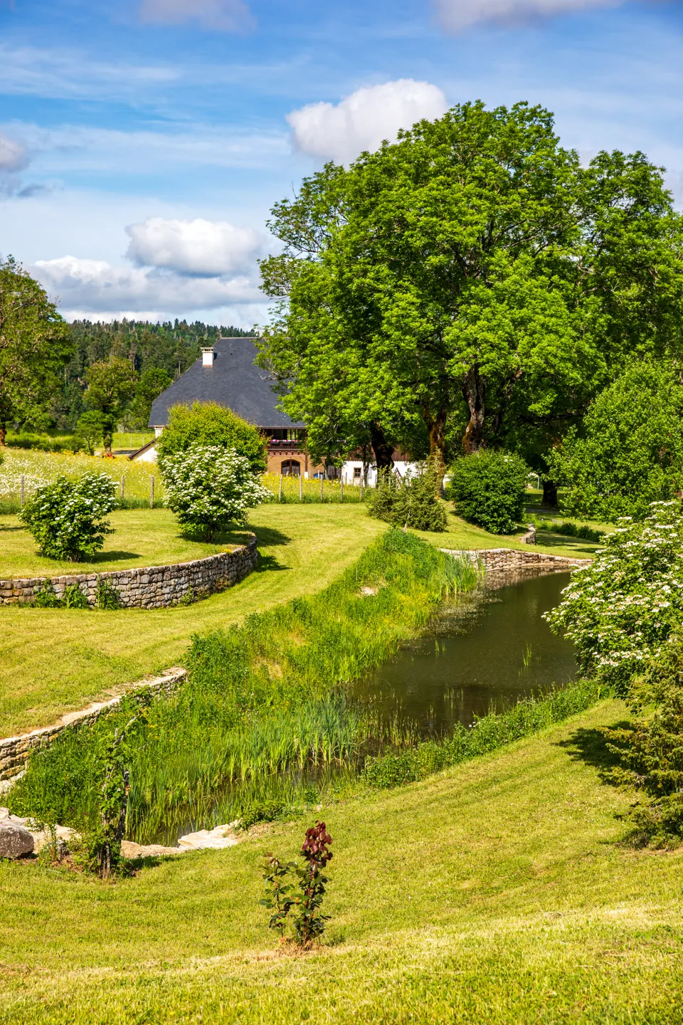 Secondary pond at Ferme de la Tour