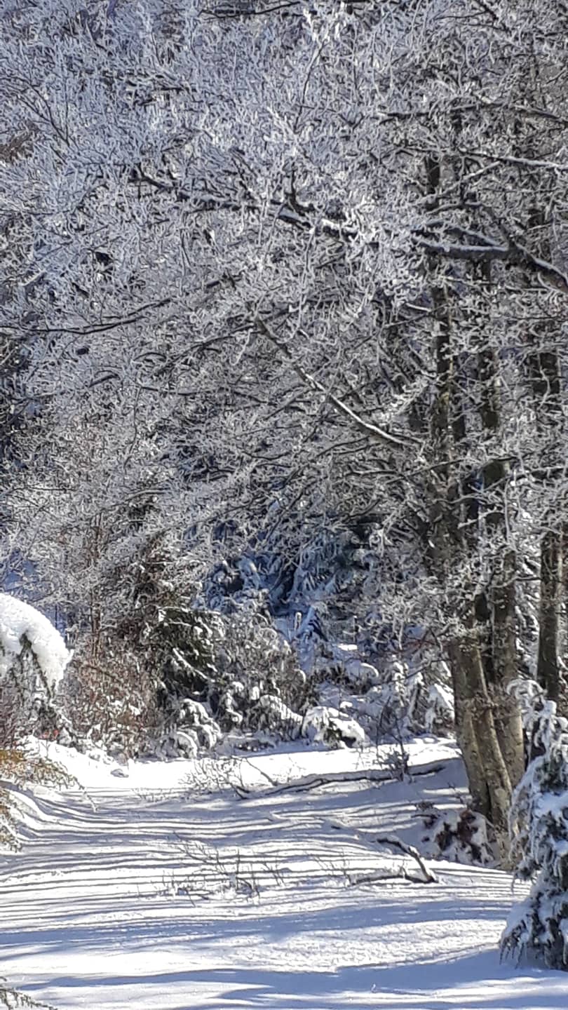 Hiver à la Ferme de la Tour