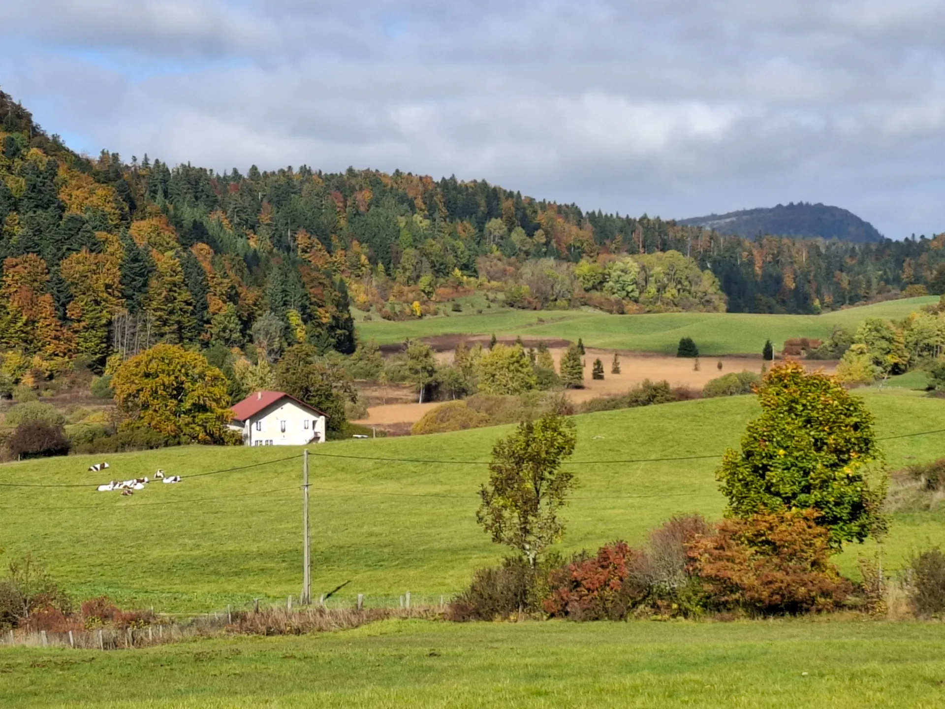 Paysage verdoyant du plateau du Retord